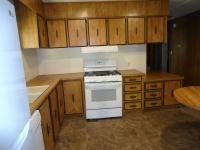 1981 Skyline Hillcrest Manufactured Home