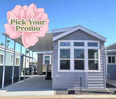 Mobile Home at 9252 E. Broadway Road #011 Mesa, AZ 85208