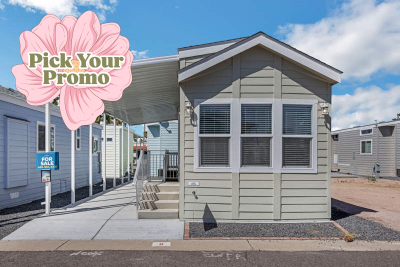 Mobile Home at 9252 E. Broadway Road #009 Mesa, AZ 85208