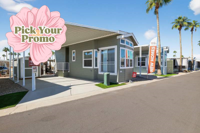 Mobile Home at 600 S. Idaho Rd. #413 Apache Junction, AZ 85119