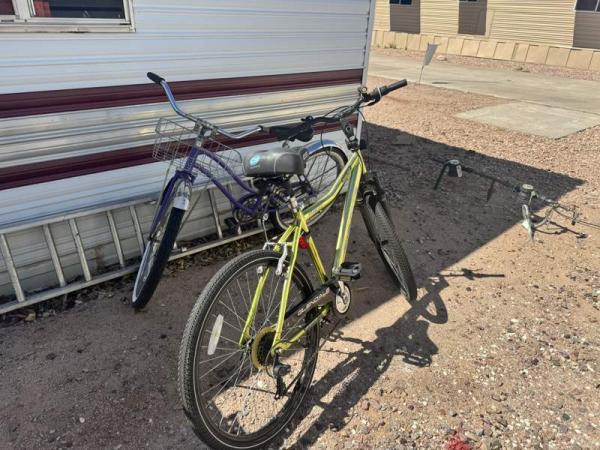 1994 Skyline Manufactured Home