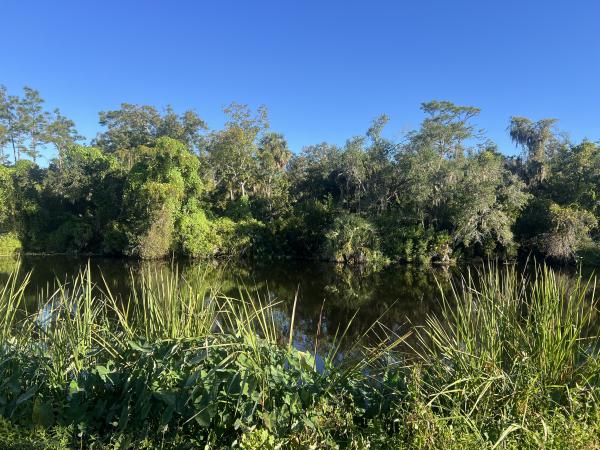 Photo 1 of 2 of home located at 35711 Washington Loop Road Punta Gorda, FL 33982