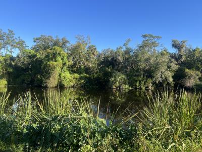 Mobile Home at 35711 Washington Loop Road Punta Gorda, FL 33982