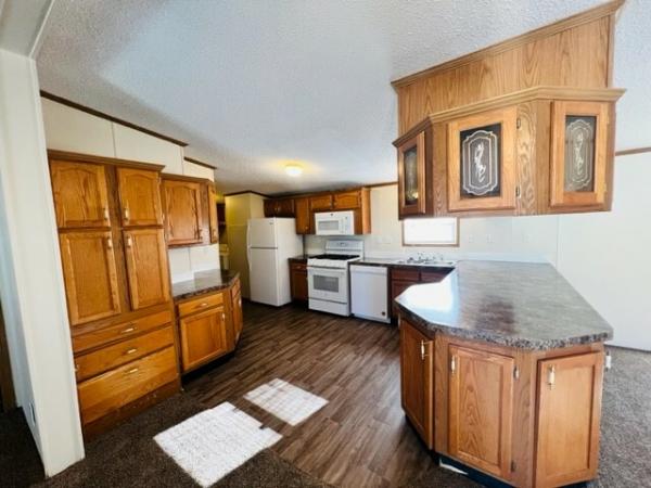 1998 Skyline Mobile Home For Sale