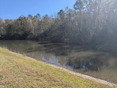 Photo 4 of 16 of home located at 583 Tulip Circle E Auburndale, FL 33823