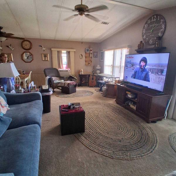 1987 palm Manufactured Home