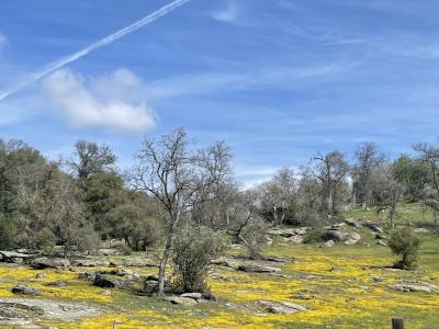 Mobile Home at 46041 Road 415  Lot # 083 Coarsegold, CA 93614