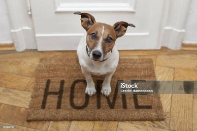 Photo 3 of 3 of home located at 16430 Park Lake Rd. #27 East Lansing, MI 48823