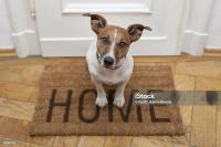 2012 Crest 81SUN16763 Mobile Home