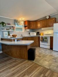 1998 Cappaert Cairo Manufactured Home