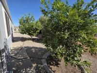 1997 Champion Manufactured Home