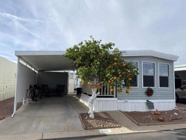 1988 Skyline Manufactured Home