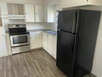 1964 Vaga Vaga  Home