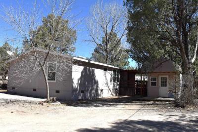 Mobile Home at 12145 State Hwy 14N Space P5 Cedar Crest, NM 87008