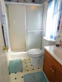 1980 Manufactured Home
