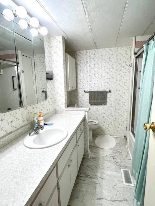 1973 Skyline HS Mobile Home