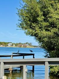 1973 Skyline HS Mobile Home