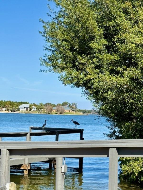 1973 Skyline HS Mobile Home