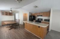 2000 Skyline Mobile Home