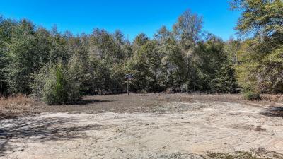 Photo 5 of 32 of home located at 4023 Sylvania Plantation Rd Greenwood, FL 32443