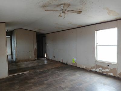 Photo 5 of 9 of home located at 115 James Ave Sanford, TX 79078