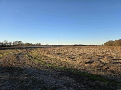 Photo 5 of 22 of home located at 4370 Highway 49 Holly Grove, AR 72069