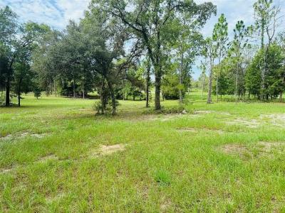 Photo 5 of 17 of home located at 21830 SE 66th St Morriston, FL 32668