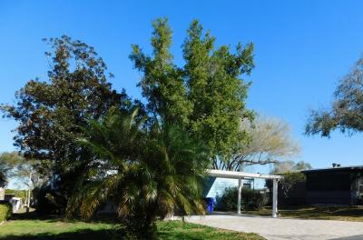 Photo 2 of 36 of home located at 1664 Cutter Ln Lakeland, FL 33810