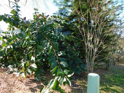 Photo 4 of 36 of home located at 1664 Cutter Ln Lakeland, FL 33810