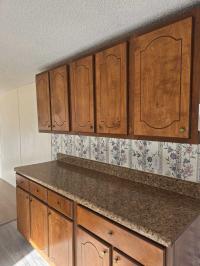 1994 Oakwood Mobile Home