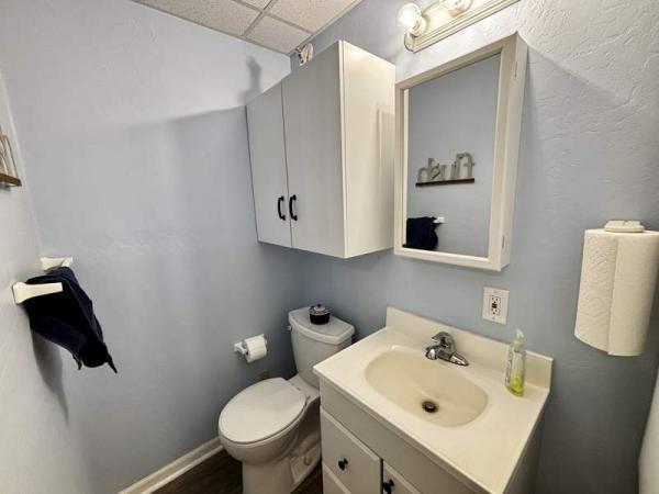 1991 Skyline Manufactured Home