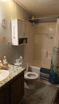 1998 Skyline Manufactured Home