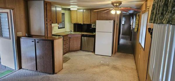 1967 Skyline Manufactured Home