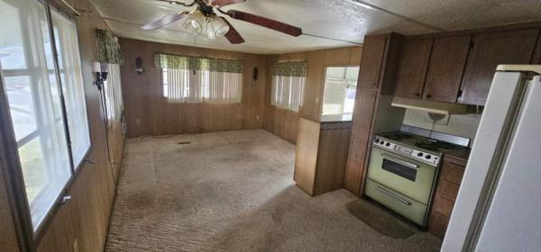 1967 Skyline Manufactured Home