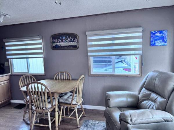 1990 Skyline Manufactured Home