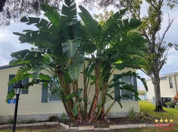1989 PALM   Home