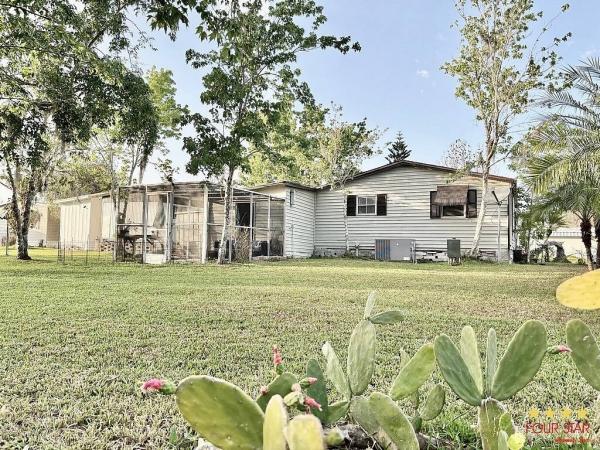 1989 PALM   Home