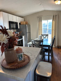 1994 RIVB Manufactured Home