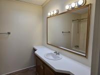 1993 Skyline Mobile Home