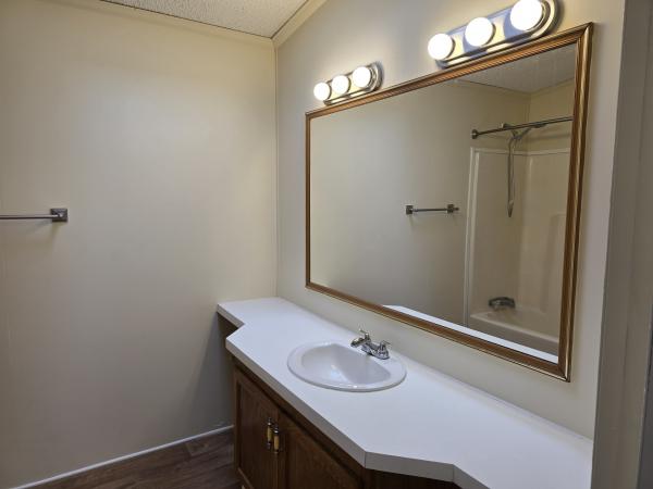 1993 Skyline Mobile Home