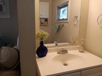 1964 Skyline Mobile Home