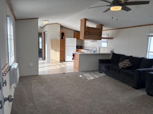 1995 Skyline Manufactured Home