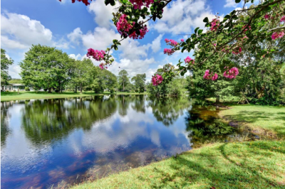 Photo 3 of 7 of home located at 114 Chestnut Lane Lake Helen, FL 32744