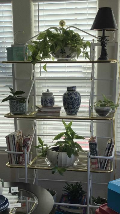 Mobile Home at 3600 W Orange Grove #194 Tucson, AZ 85741