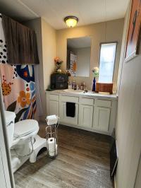 1976 Arlington Manufactured Home