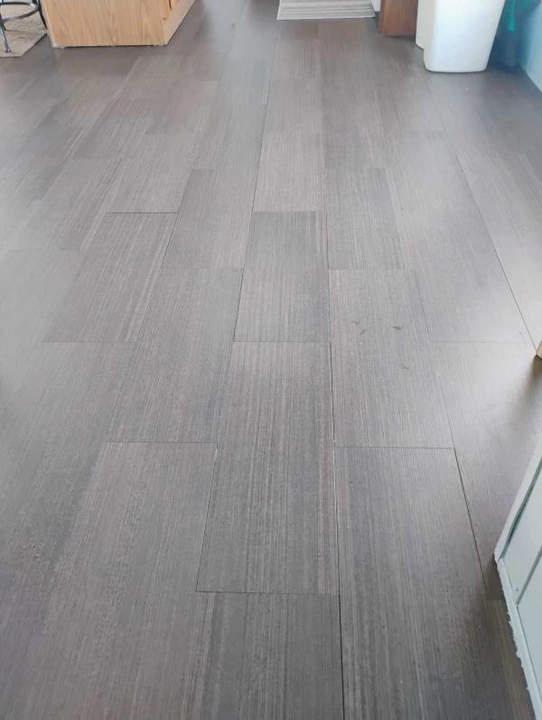 Skyline MH Mobile Home