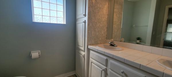 2005 Skyline Mobile Home