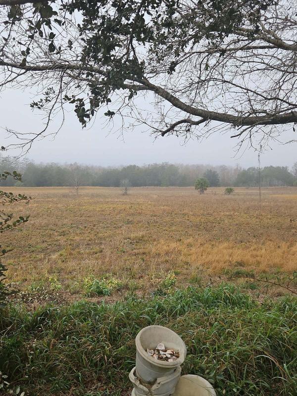 2005 Homes of Merit T16865 Mobile Home