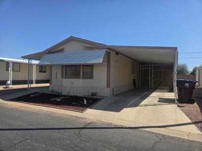 Photo 4 of 11 of home located at 11101 E University Dr, Lot #246 Apache Junction, AZ 85120