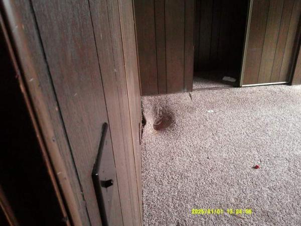 1972 Mark IV Manufactured Home